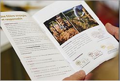 Document pédagogiques